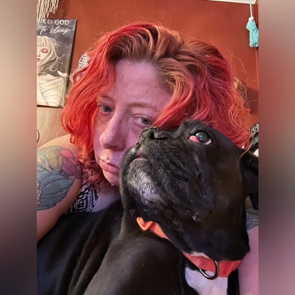 Meet your Posher, Lolly - Picture 14 of 16